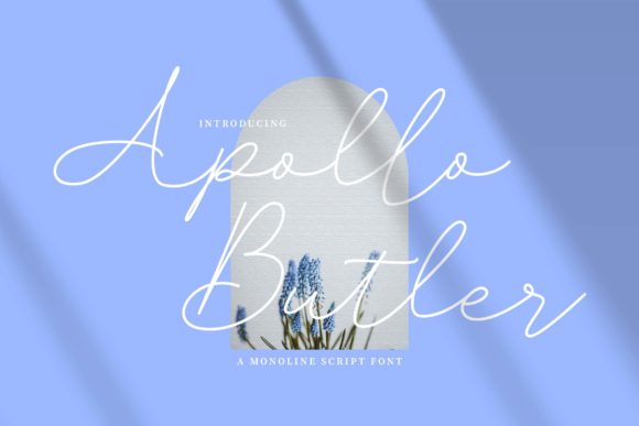 Apollo Butler: A Script Font for Elegant Web Design
