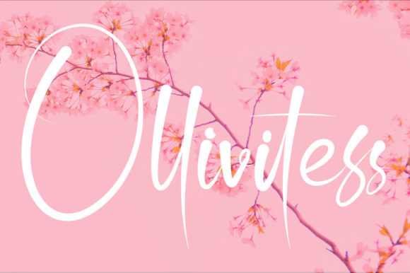 Enhance Your Brand with Ollivitess: A Dainty Script Font