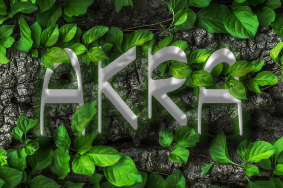 Exploring Akra: A Versatile Handwritten Font for Branding