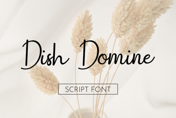 Introducing Dish Domine: A Bold and Stylish Script Font
