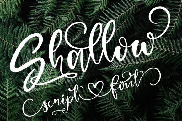 Transform Your Brand with Shallow: A Luxurious Handwritten Font